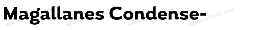 Magallanes Condense字体转换